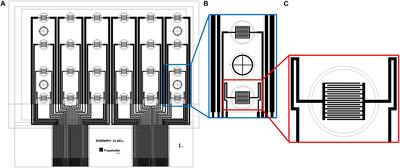 Novel Cost-Efficient Graphene-Based Impedance Biosensor for the Analysis of Viral Cytopathogenicity and the Effect of Antiviral Drugs